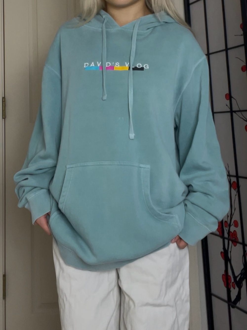 Fanjoy | David Dobrik Merch “David’s Vlog” Mint Green Drawstring Pullover Hoodie